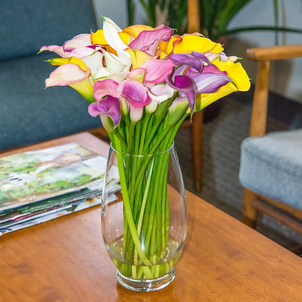 Hybrid Calla Lilies Mix - Image 3