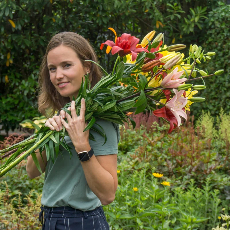 Cutflower Lily Mix - Image 3
