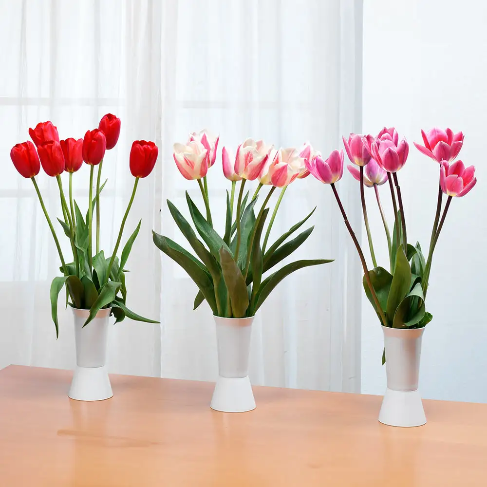 Forever Spring™ Tulip Mix