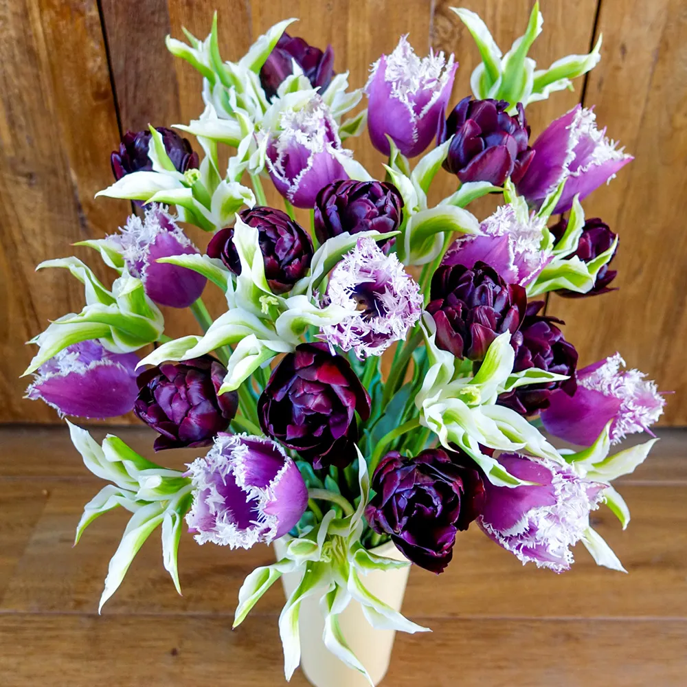 Grand Cru Tulip Blend