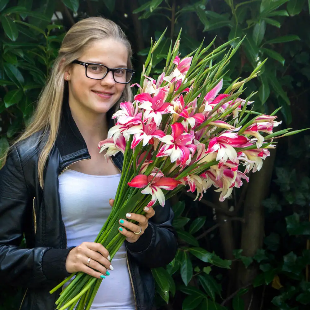 Hardy Gladiolus Galaxian® - Image 3